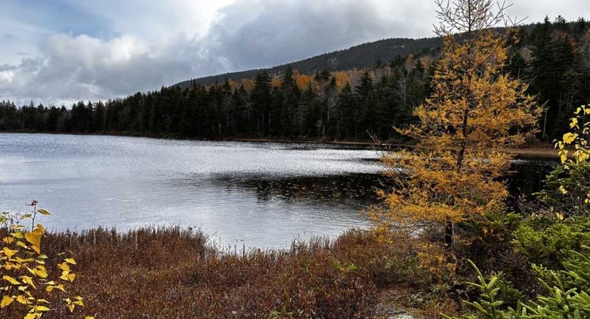 Fall colored trees frame a body of water